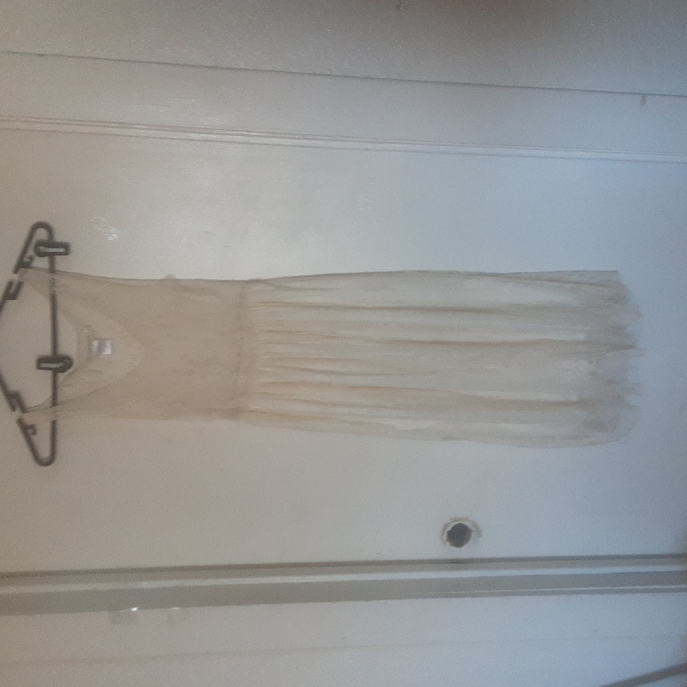 Anna- Kaci Sheer Lace Slip Dress Sz M/ L - Picture 1 of 9